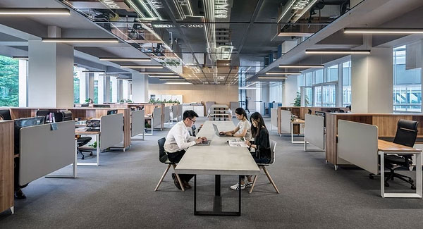 其他類型的公司