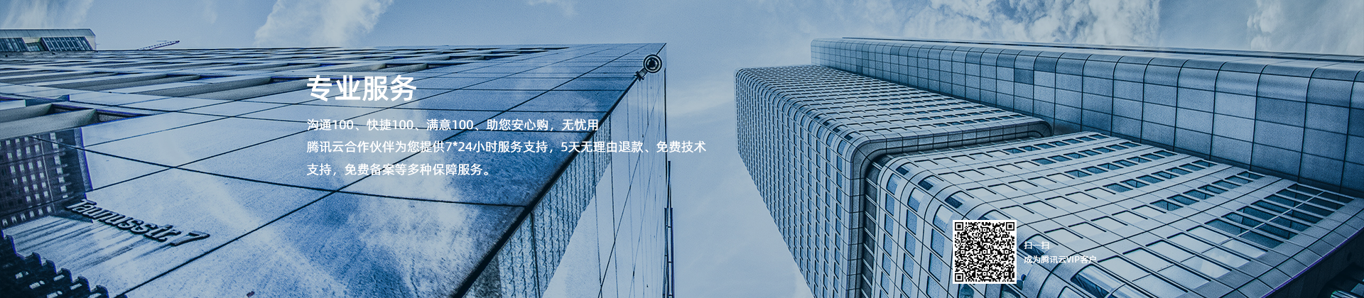 專業(yè)服務(wù)
